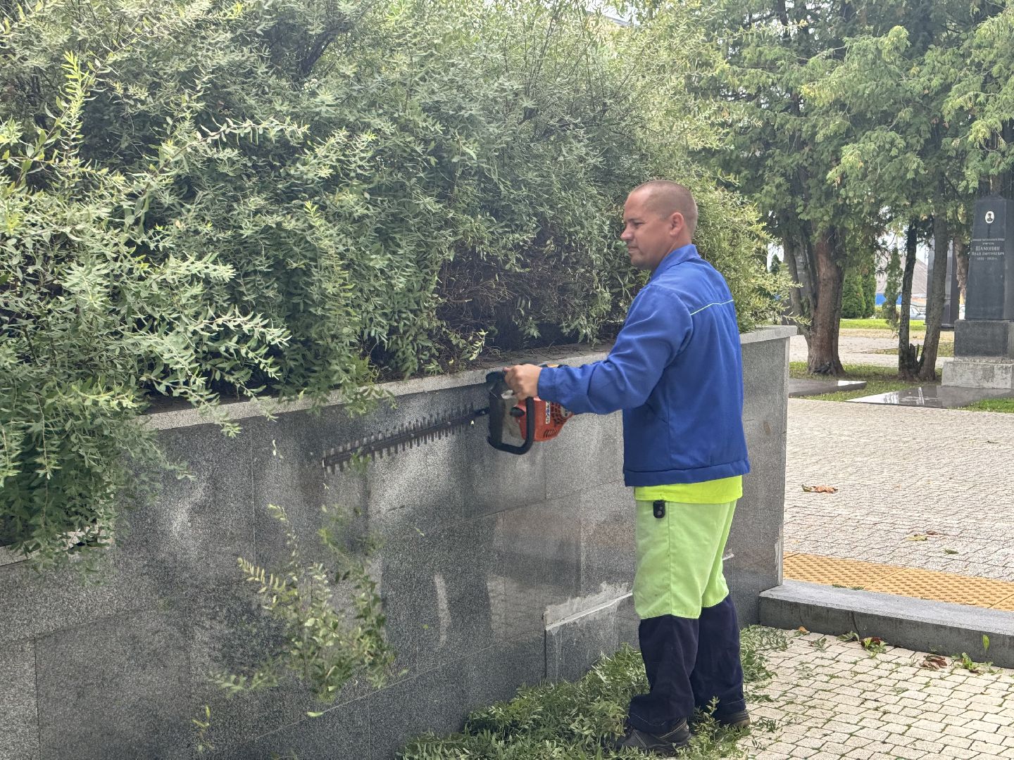 Шаховская, шаховская, благоуйстройство, подрезка кустов,