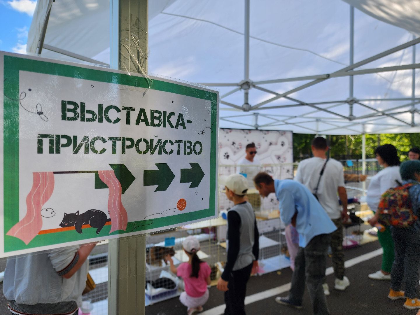 рок в защиту животных, рок фестиваль, богородский городской округ, ногинск, общество, жители, благотворительность,