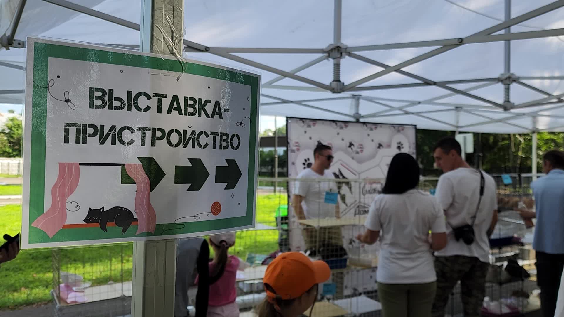 /mediabank_mount//47454/74cbfb7f0d0cf69636d587e348fbbfb7.jpg