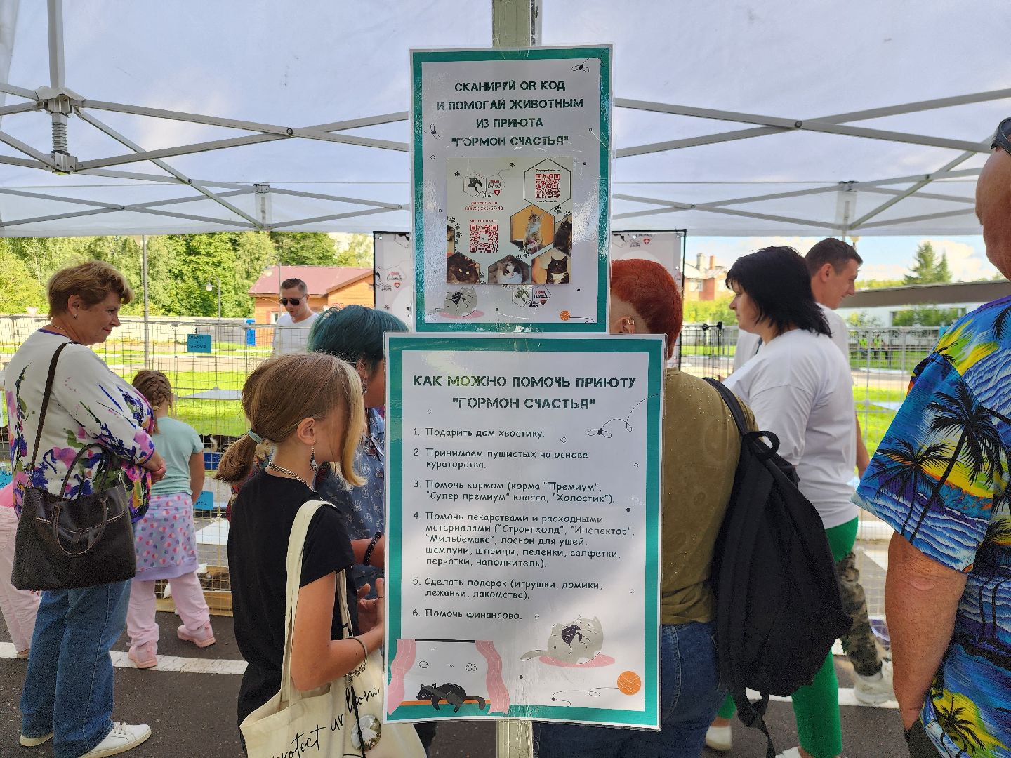 рок в защиту животных, рок фестиваль, богородский городской округ, ногинск, общество, жители, благотворительность,