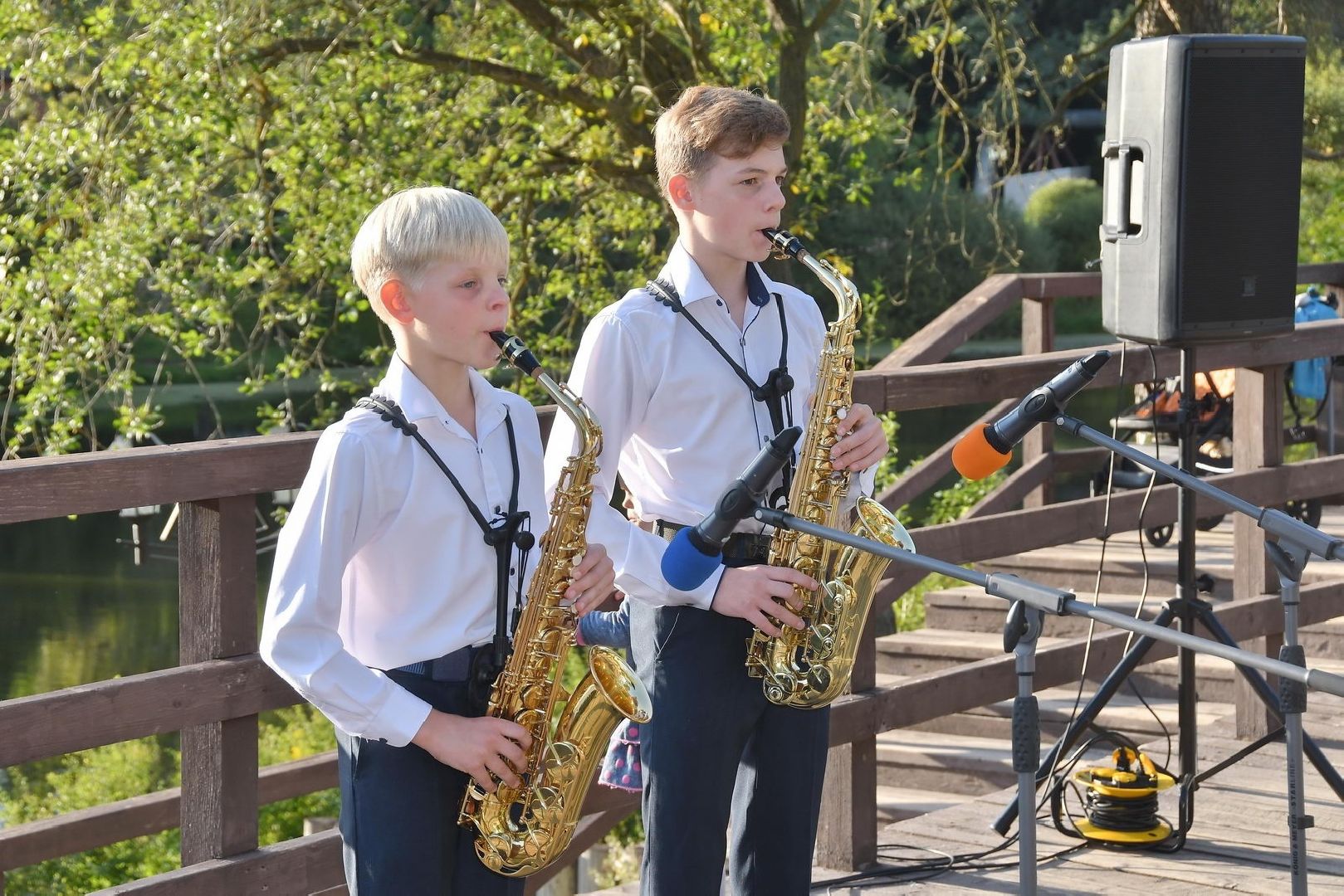 праздник двора, цветной бульвар власиха, благоустройство территории, чествование юбиляров, клумбы у домов,