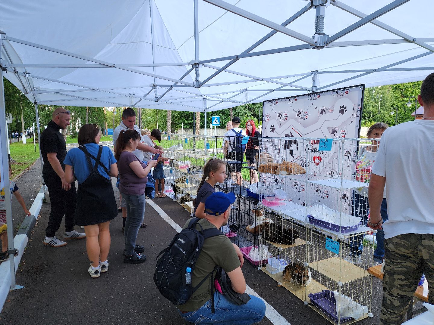 ногинск, жители, общество, рок в защиту животных, фестиваль рока, благотворительный фестиваль, кот, приют, кошачий приют, благотворительность,