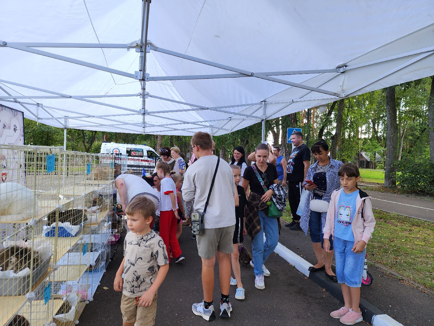 ногинск, жители, общество, рок в защиту животных, фестиваль рока, благотворительный фестиваль, кот, приют, кошачий приют, благотворительность,