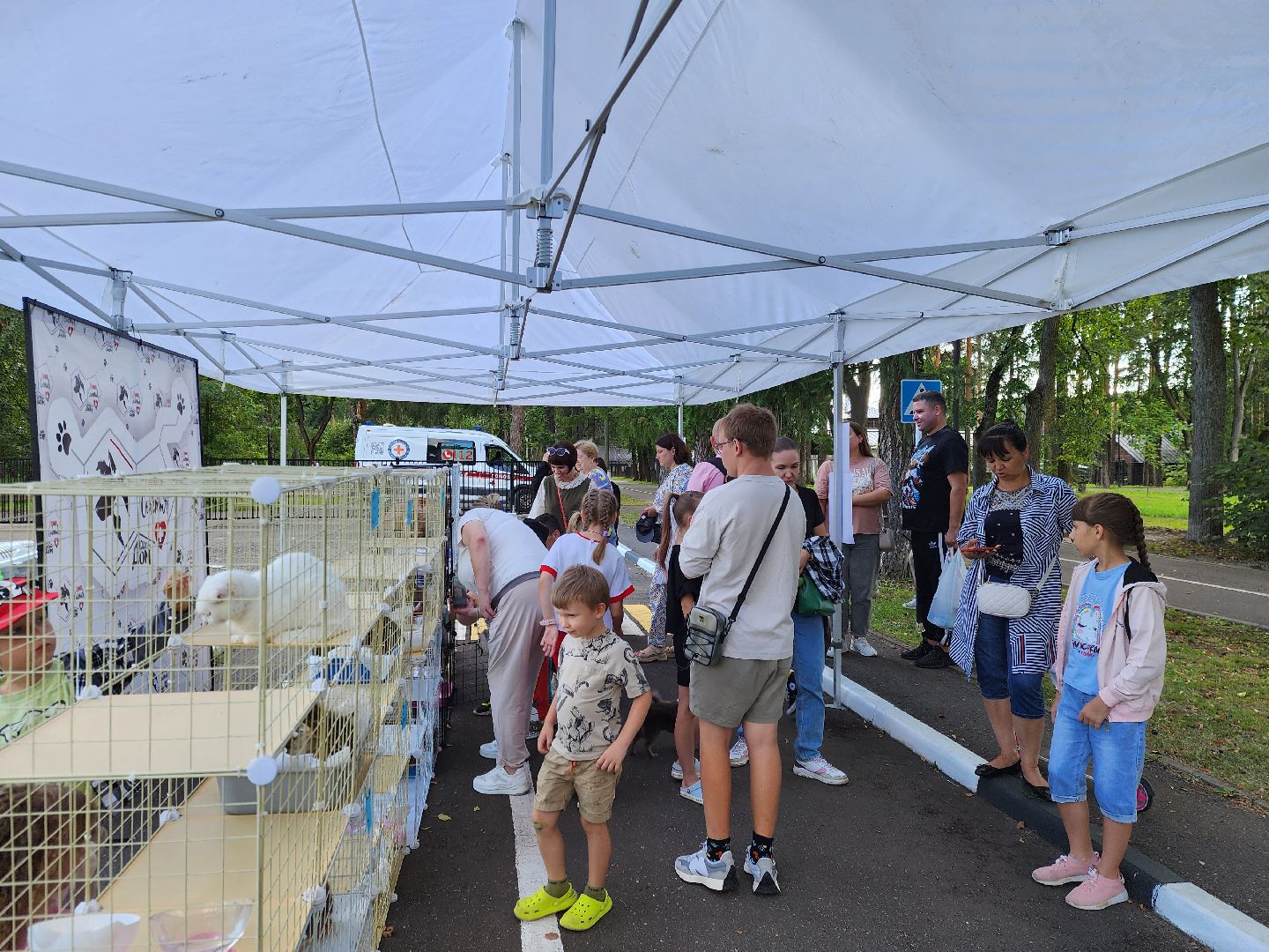ногинск, жители, общество, рок в защиту животных, фестиваль рока, благотворительный фестиваль, кот, приют, кошачий приют, благотворительность,