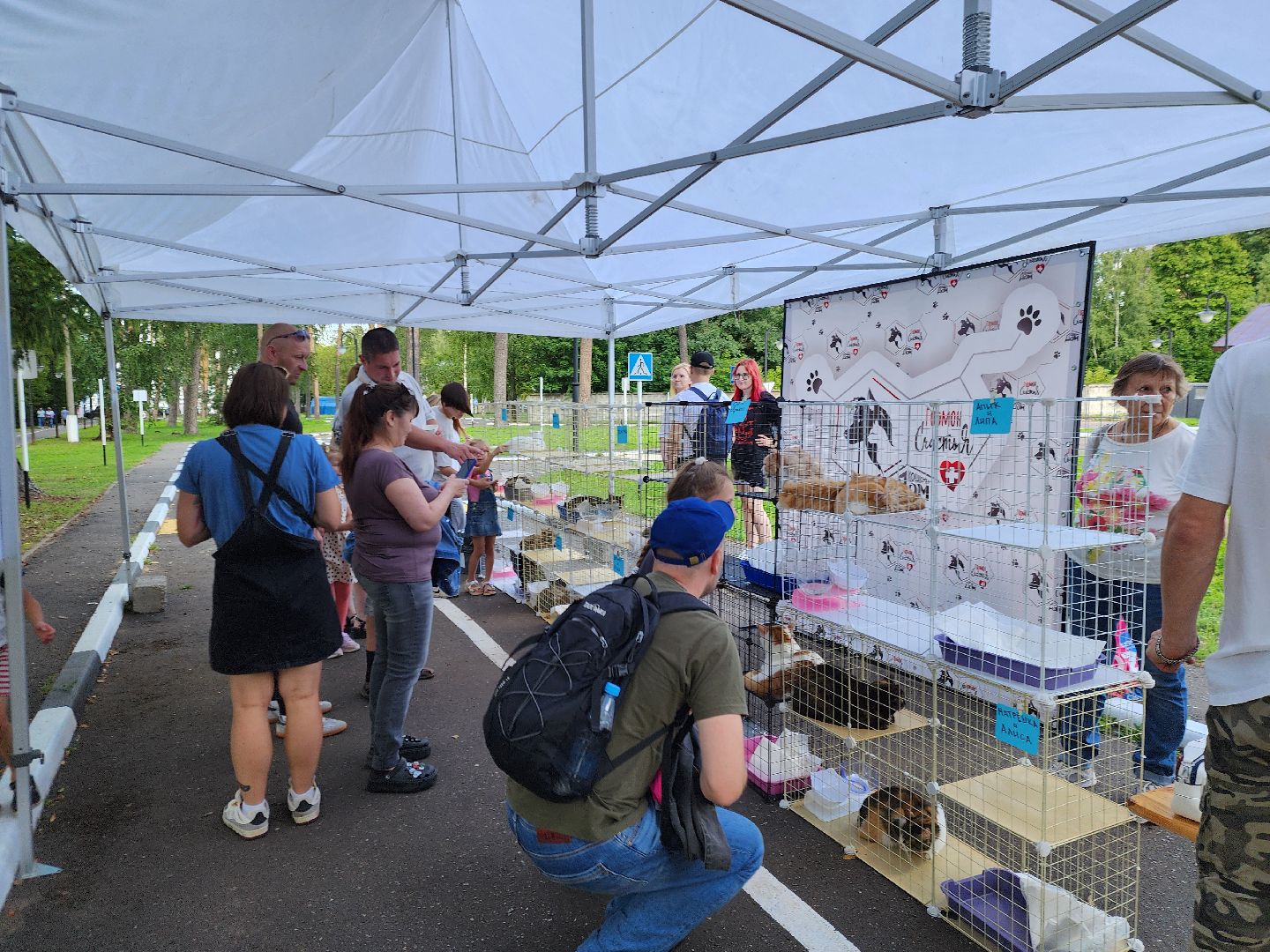 ногинск, жители, общество, рок в защиту животных, фестиваль рока, благотворительный фестиваль, кот, приют, кошачий приют, благотворительность,