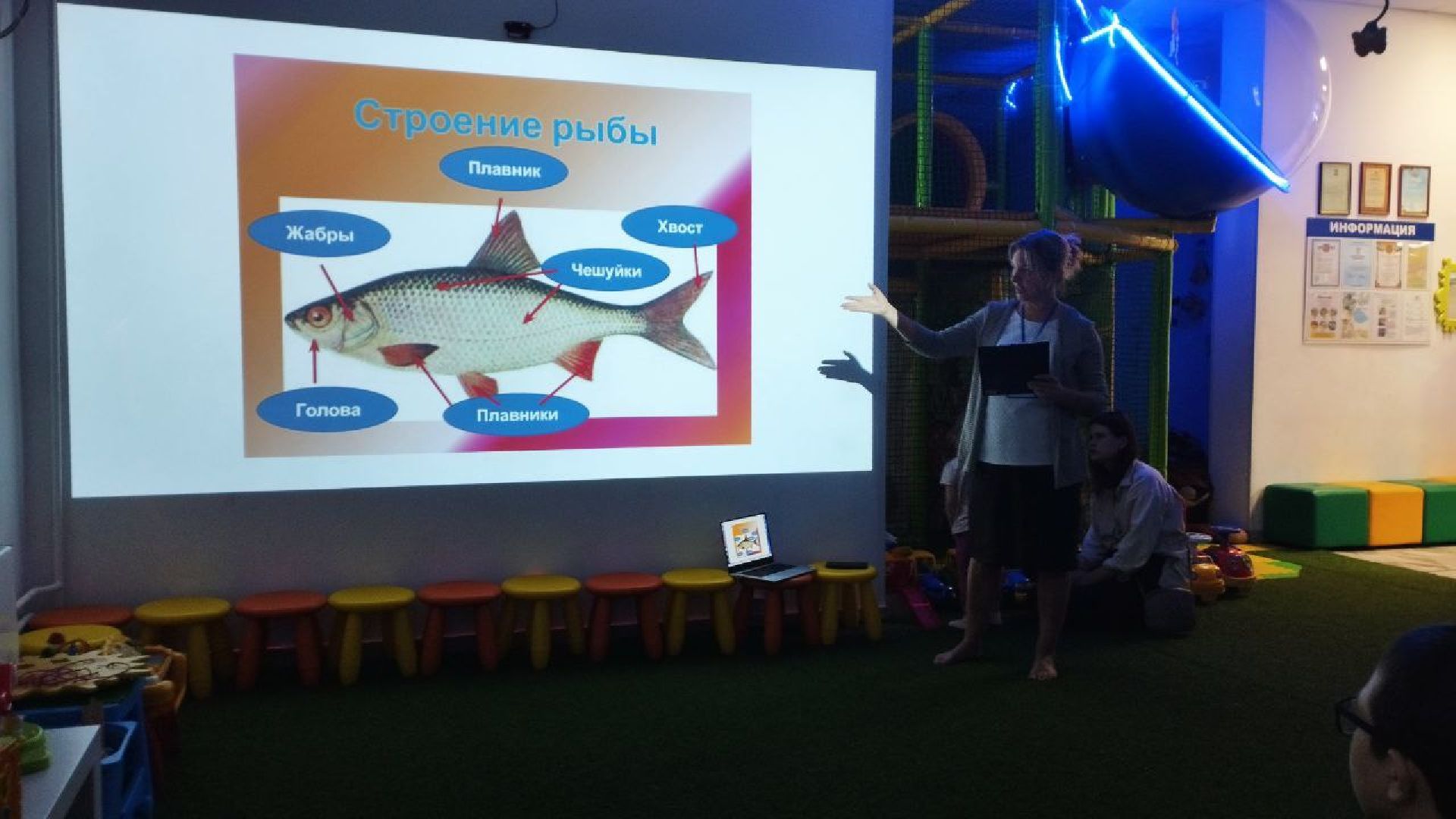 пушкино, дети, дети с овз, интерактивная игра, рыбы, мастер-класс,