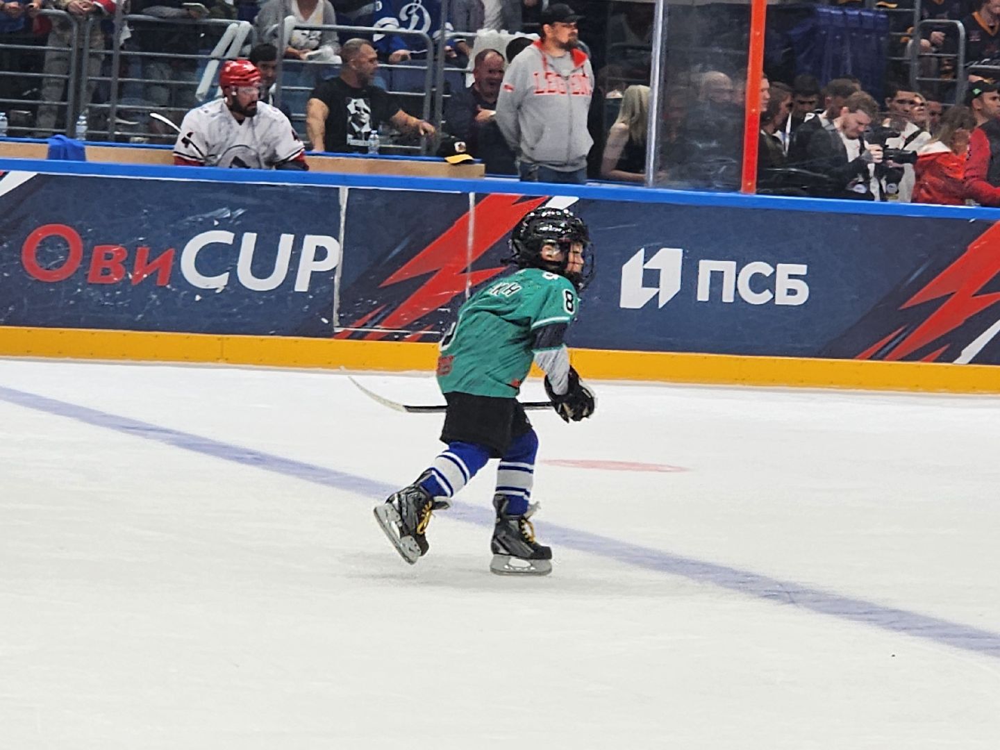 хоккей, арена мытищи, ледово,