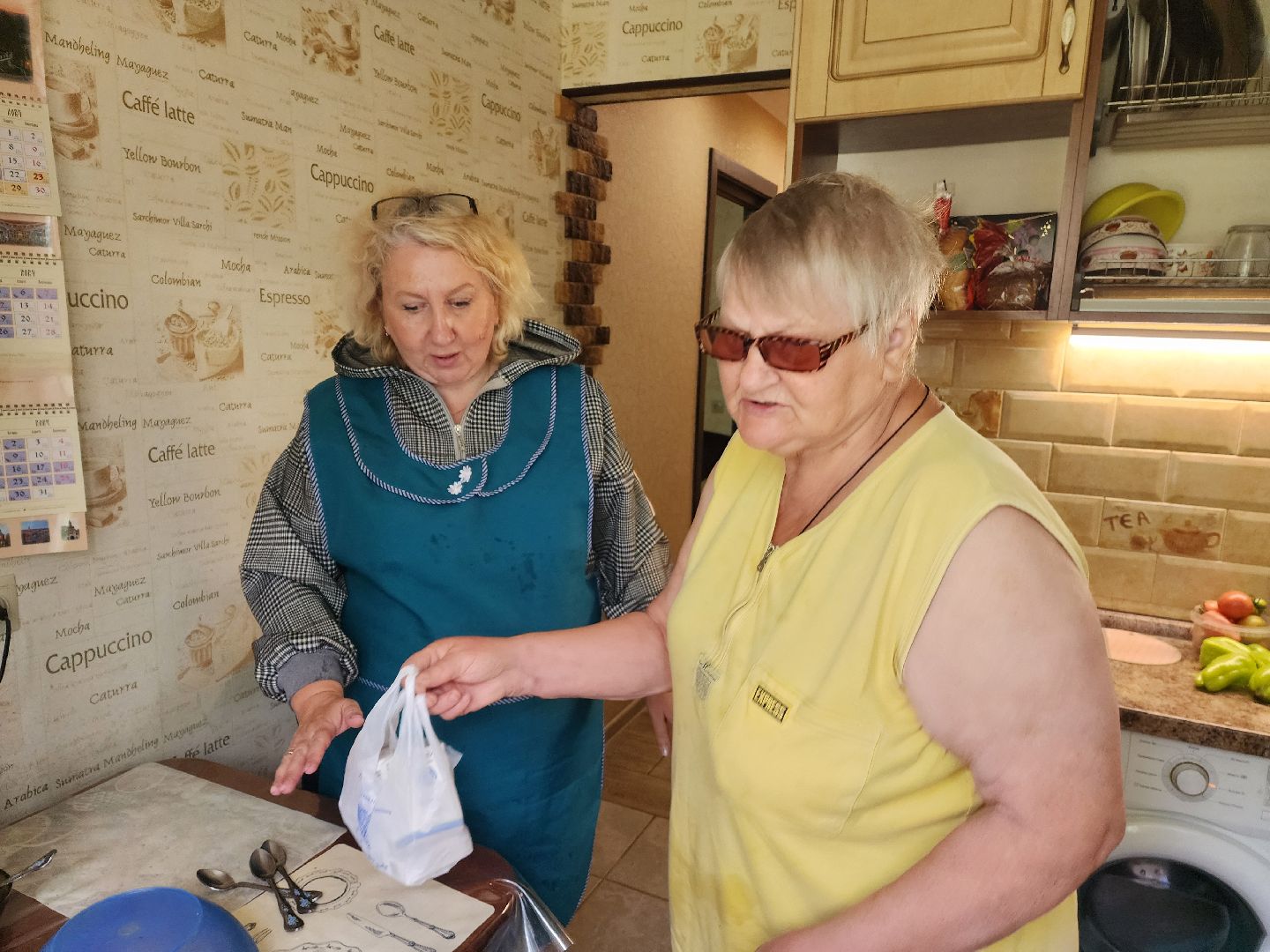 красноармейск, городской округ пушкинский, социальная помощь, соцработники,