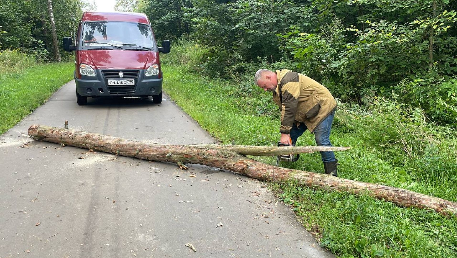 Черноголовка, жкх, обращение жителей, деревья,