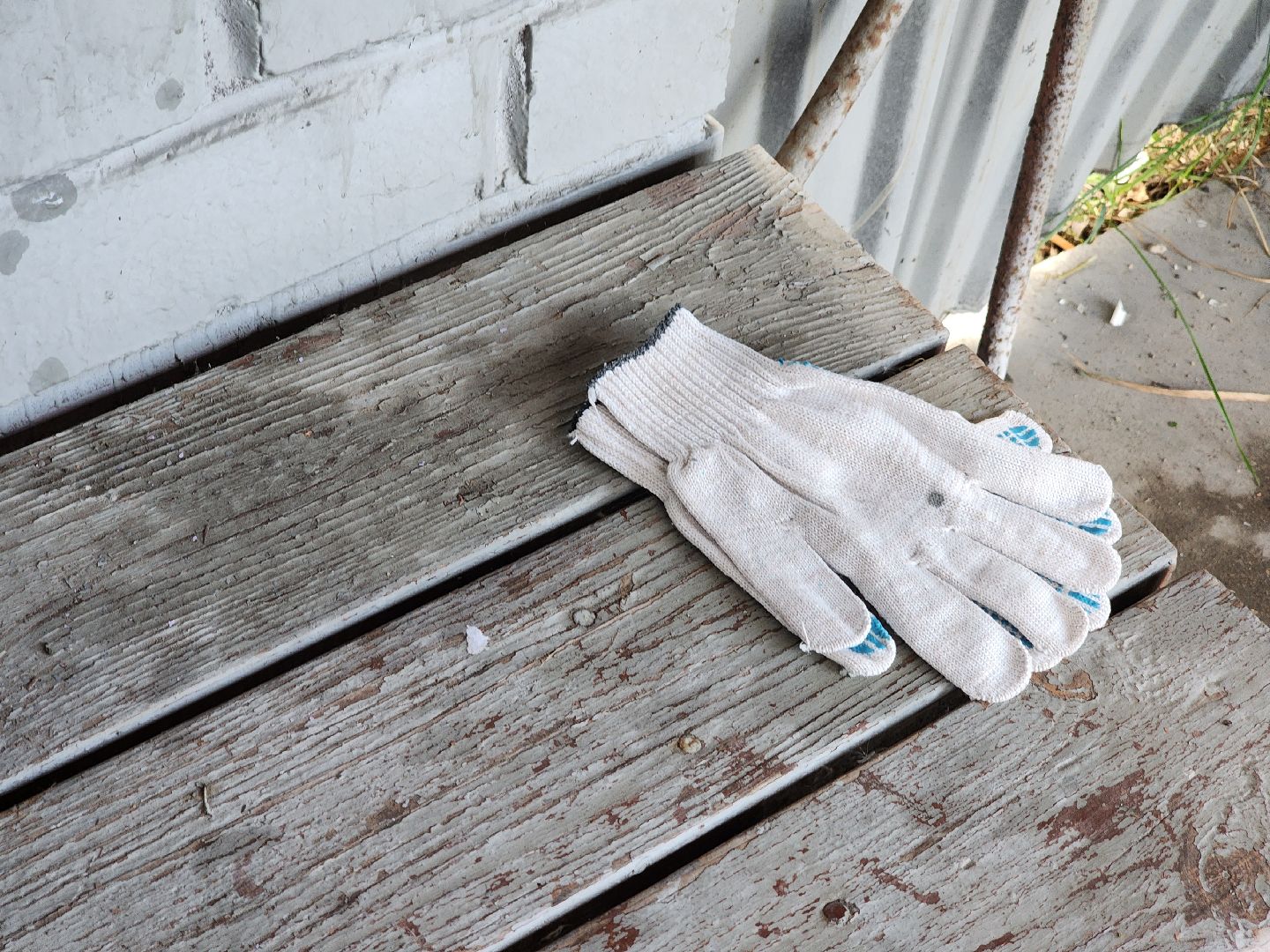 Дубна, Благоустройство, Коммунальные службы, Волонтеры,