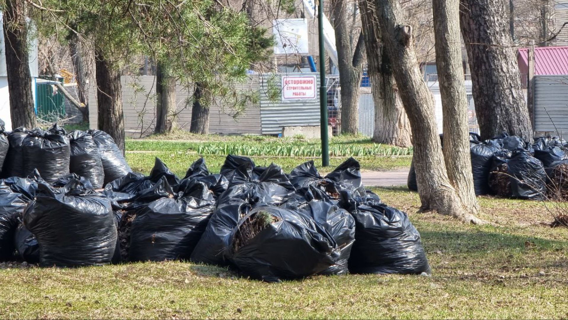 благоустройство, Дзержинский, уборка, сквер Победы