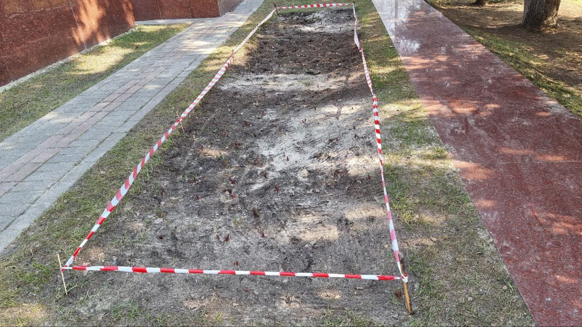 благоустройство, Дзержинский, уборка, сквер Победы