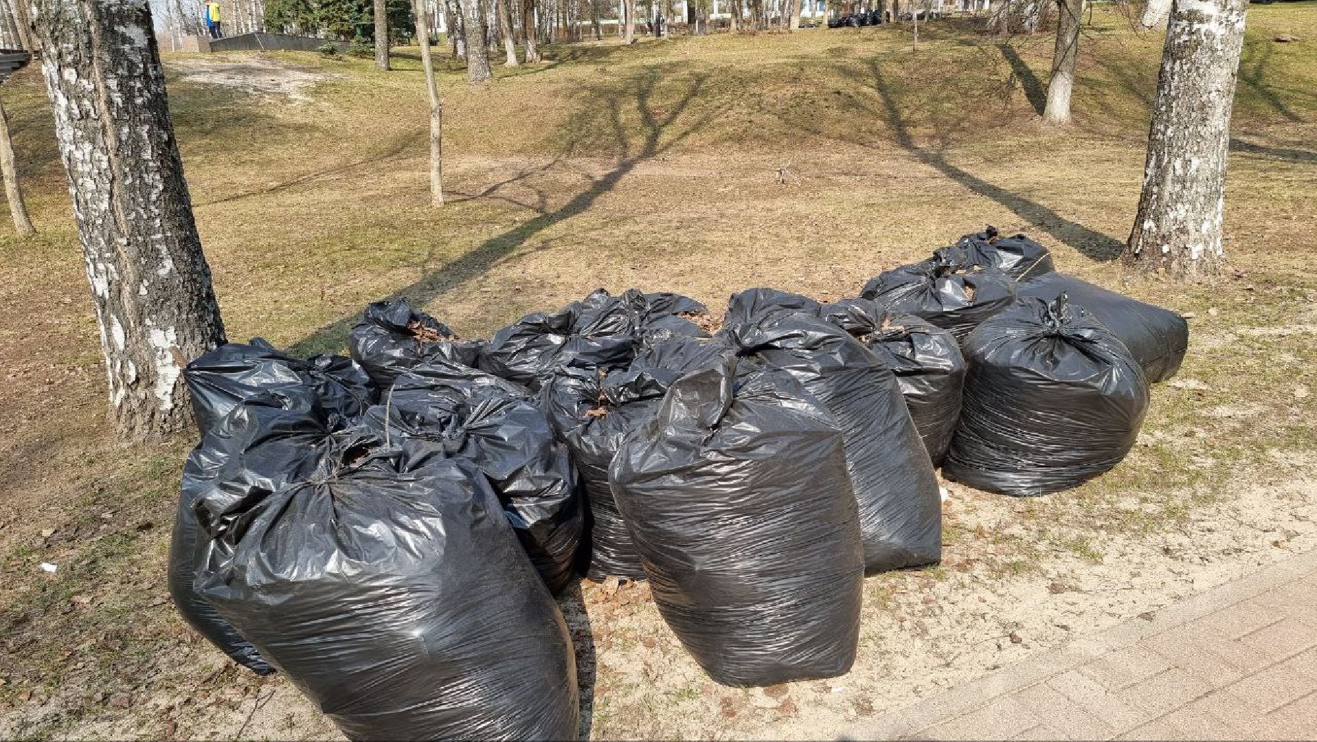 благоустройство, Дзержинский, уборка, сквер Победы