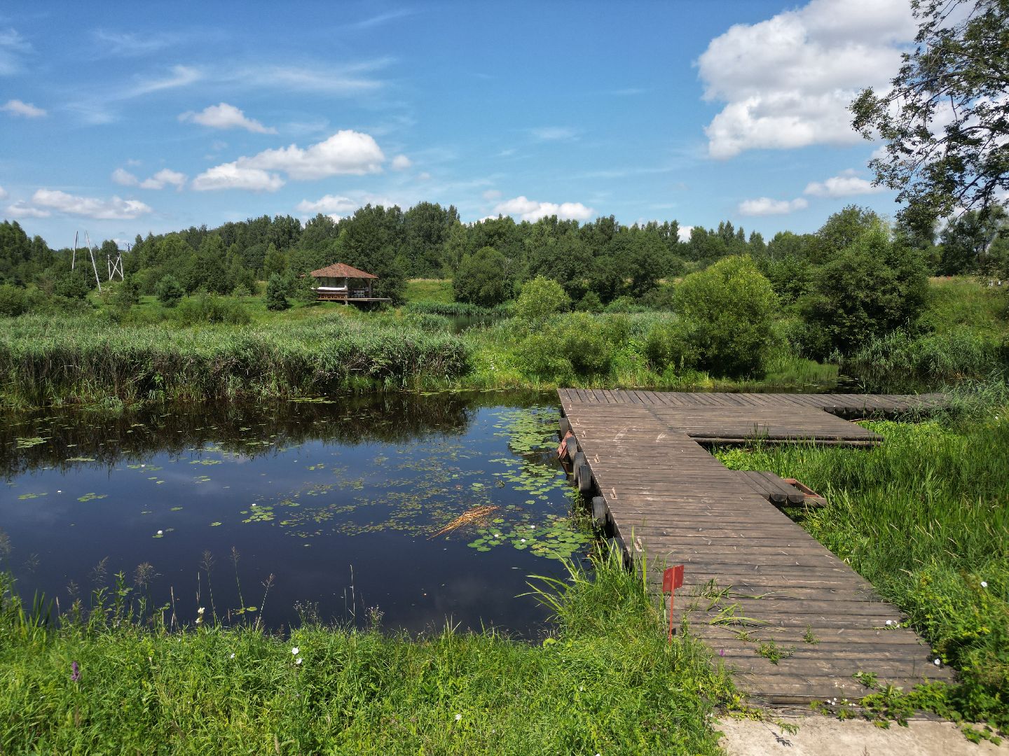 видео с коптера, талдом, усадьба,