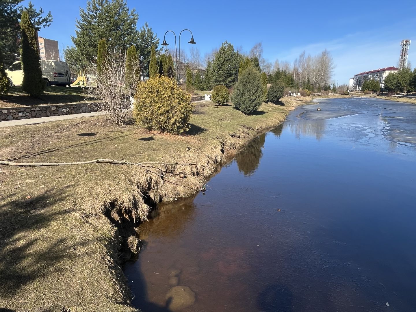 Шаховская, утки, весна