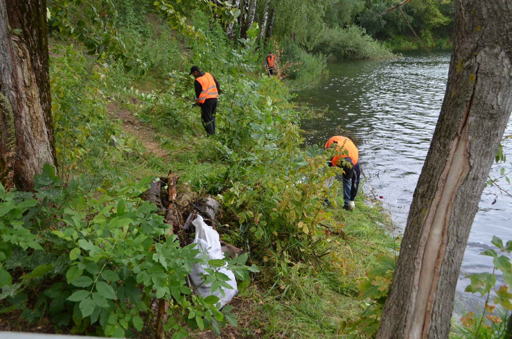 Люберцы, Большой Красковский карьер, расчистка акватории,