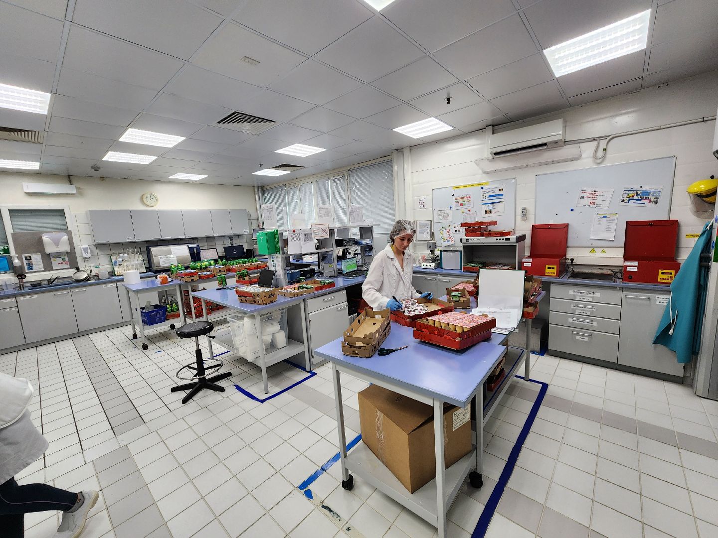 Чехов, поселок Любучаны, молочное производство, новые рабочие места, молодые специалисты, молочный завод, профориентация,