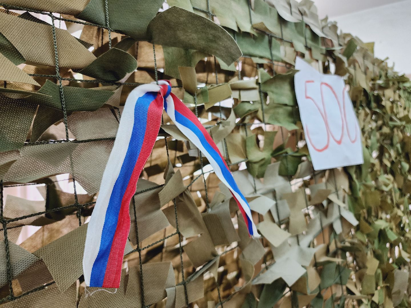 Егорьевск, маскировочная сеть, 500 штук, СВО, Подмосковье, Московская область,