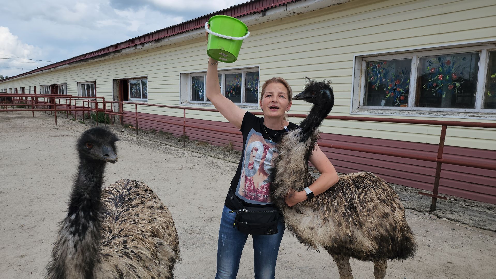 серпухов, подмосковье, австралийские эму, экоферма, русский страус,