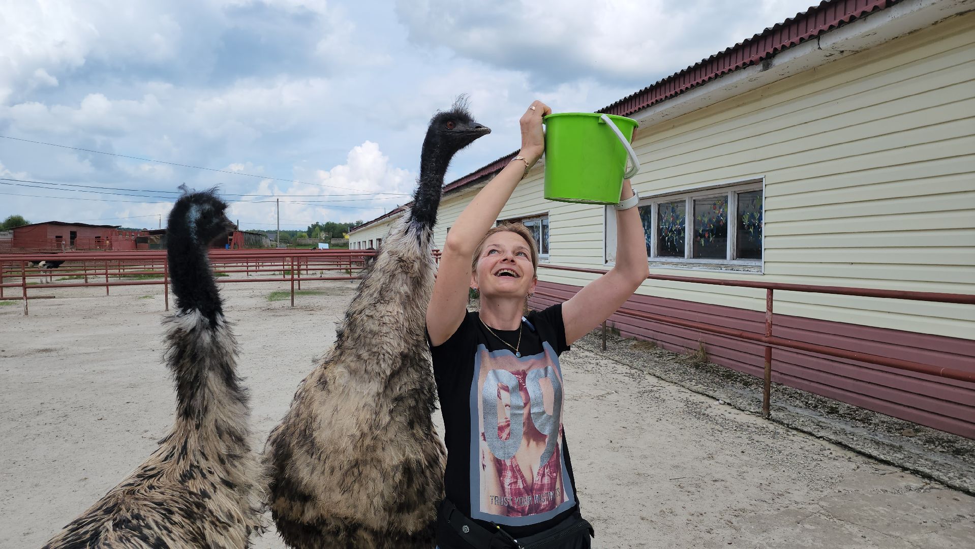 серпухов, подмосковье, австралийские эму, экоферма, русский страус,