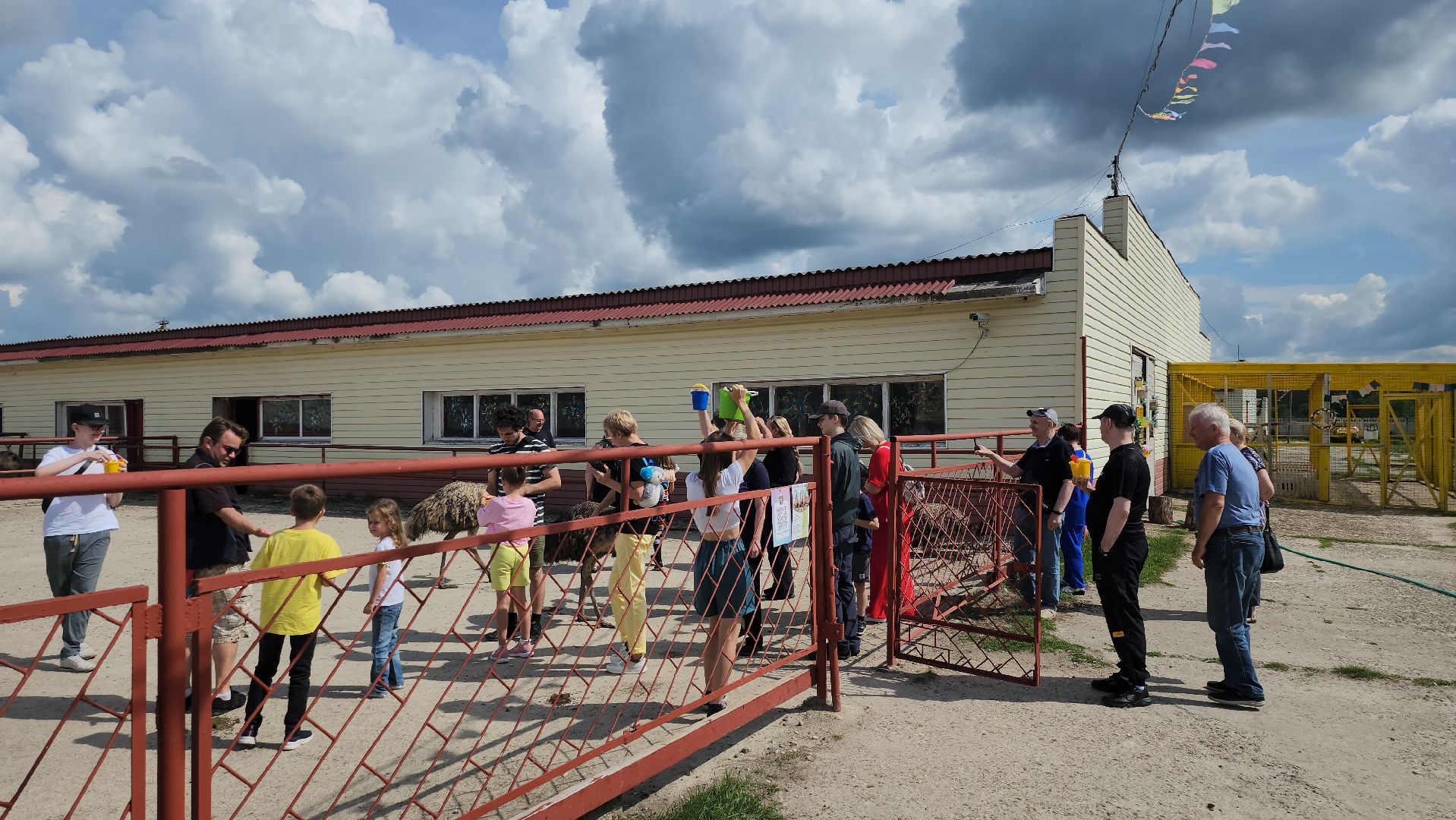 серпухов, подмосковье, страус, экоферма,