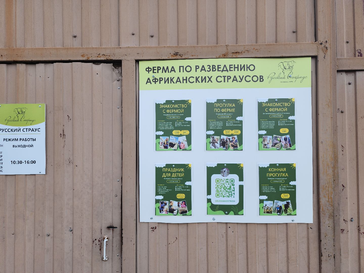 серпухов, подмосковье, страус, экоферма,