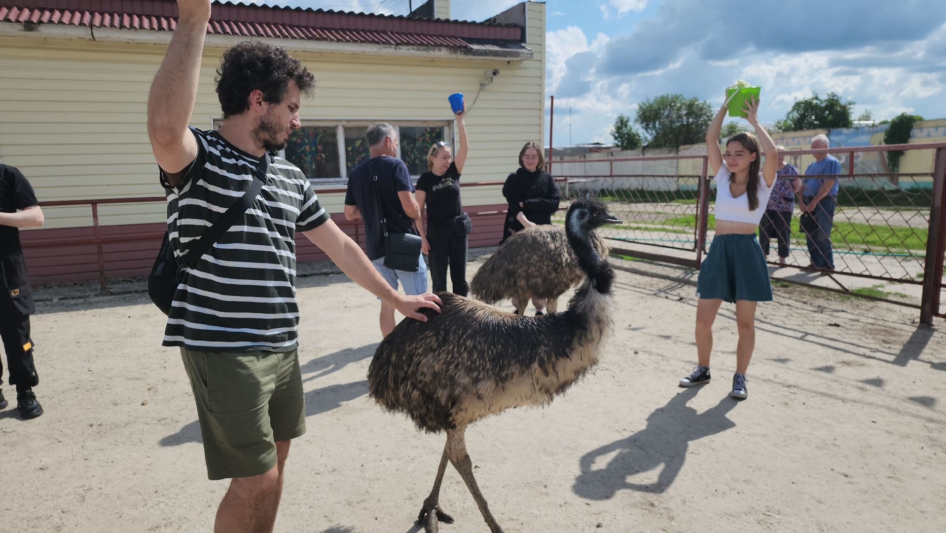 серпухов, подмосковье, русский страус, экоферма,