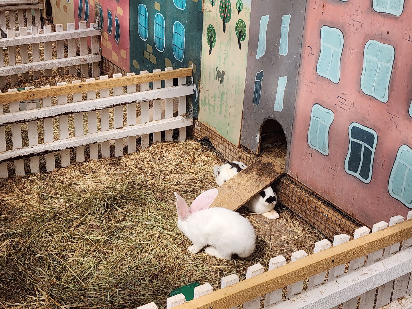 серпухов, подмосковье, русский страус,