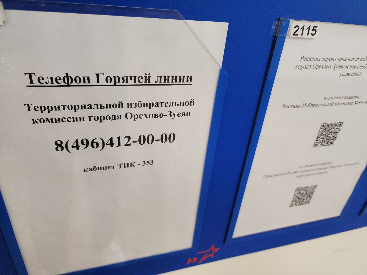 выборы 2024, орехово-зуевский округ,Дистанционное голосование,