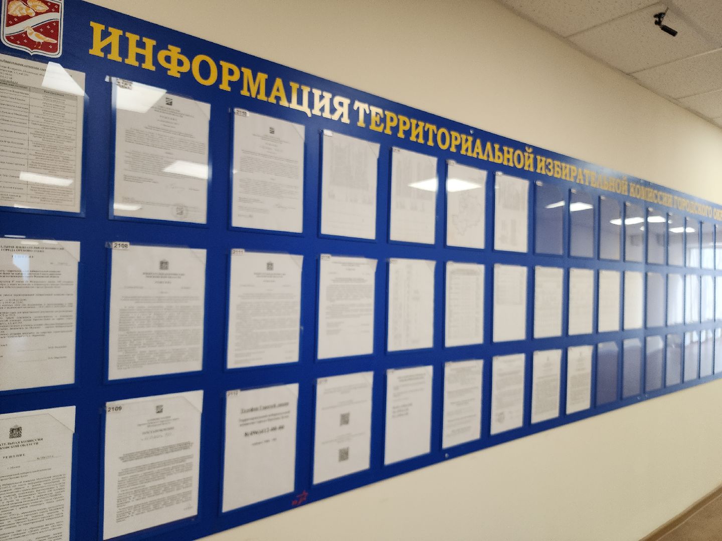 выборы 2024, орехово-зуевский округ,Дистанционное голосование,