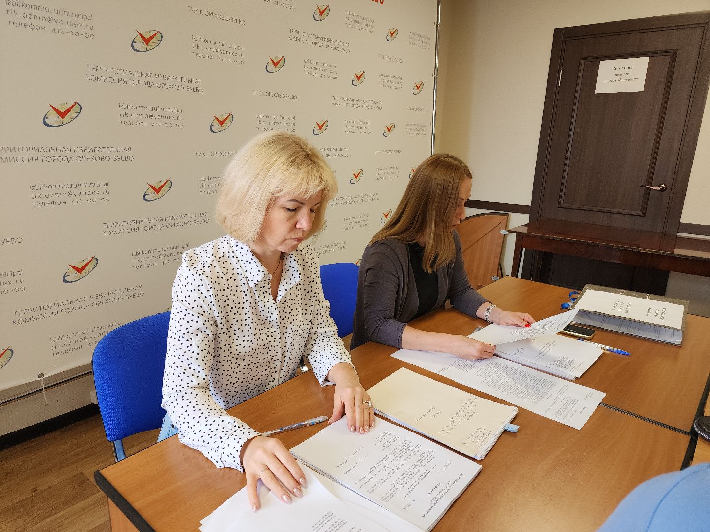 выборы 2024, орехово-зуевский округ,Дистанционное голосование,