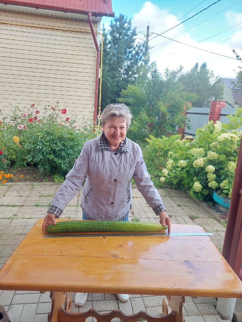 Огурец, Огурец-гигант, Домодедово, Огород, Подмосковье,