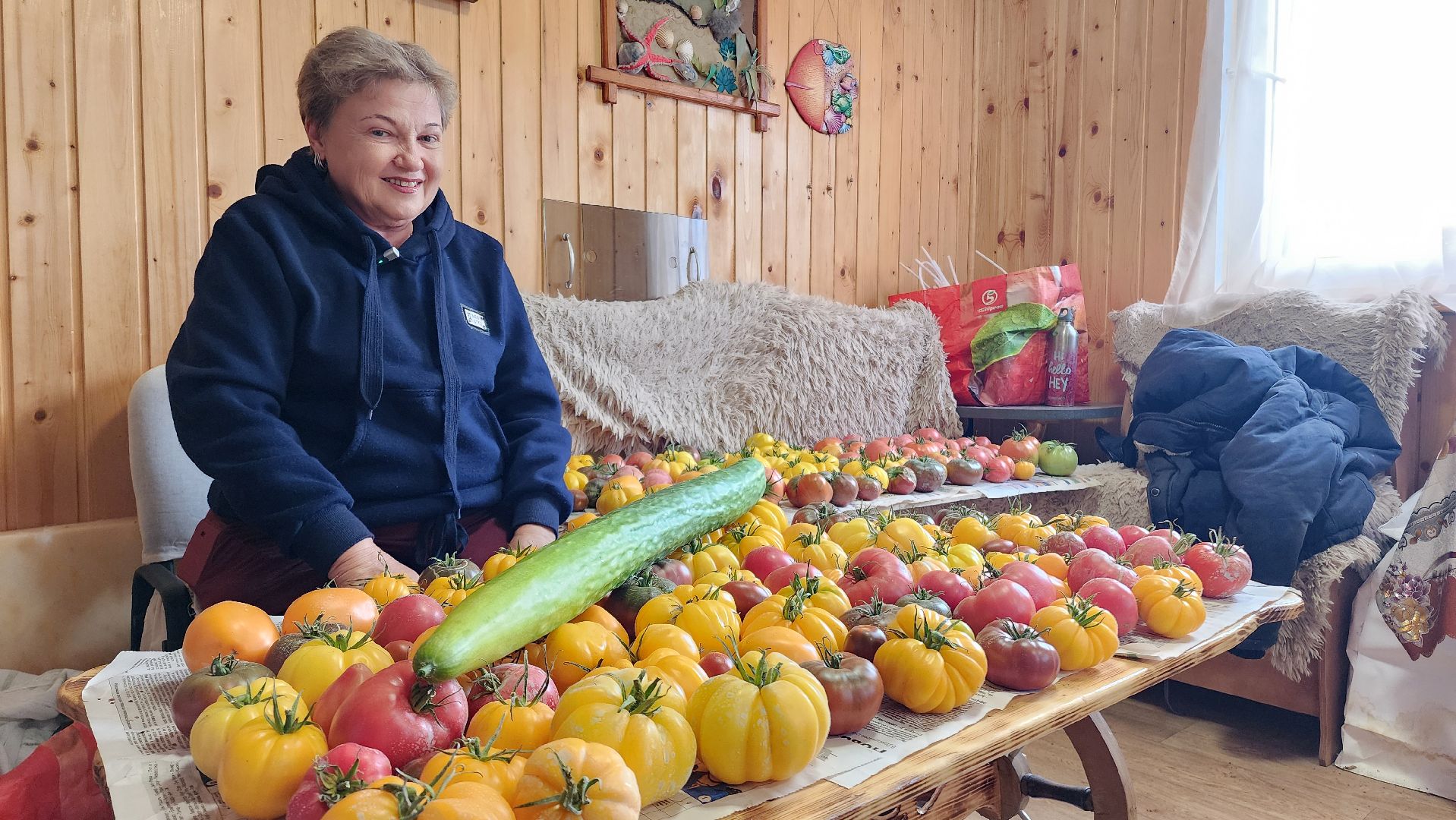 Огурец, Огурец-гигант, Домодедово, Огород, Подмосковье,