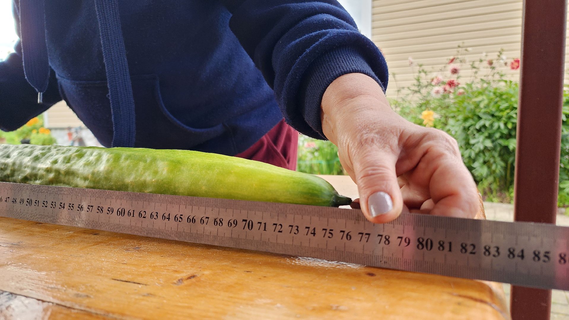 Огурец, Огурец-гигант, Домодедово, Огород, Подмосковье,