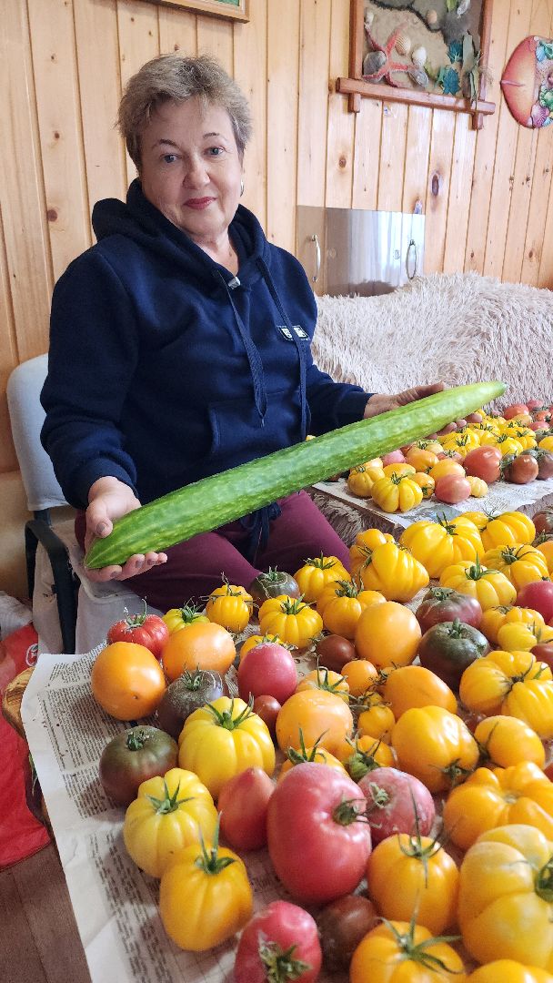 Огурец, Огурец-гигант, Домодедово, Огород, Подмосковье,