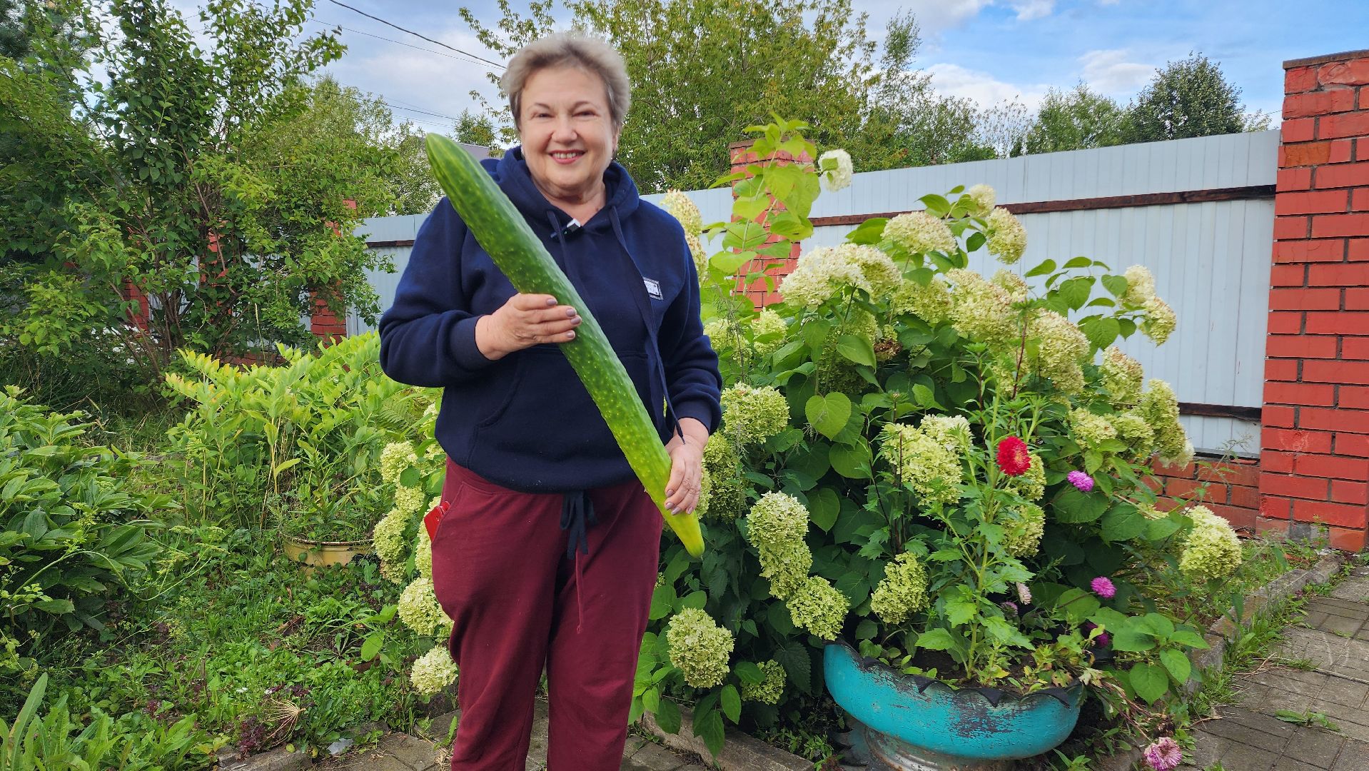 Огурец, Огурец-гигант, Домодедово, Огород, Подмосковье,