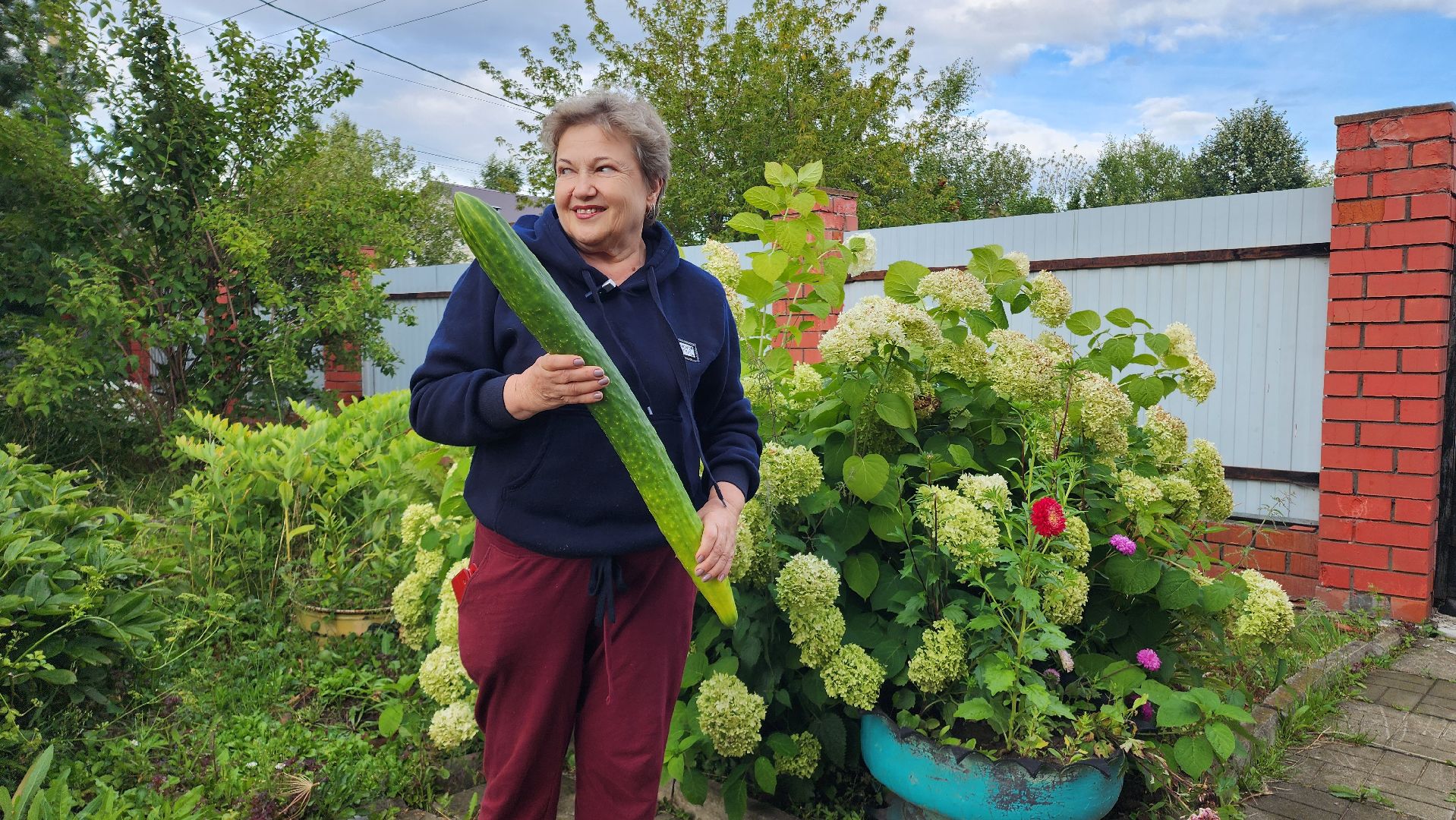 Огурец, Огурец-гигант, Домодедово, Огород, Подмосковье,