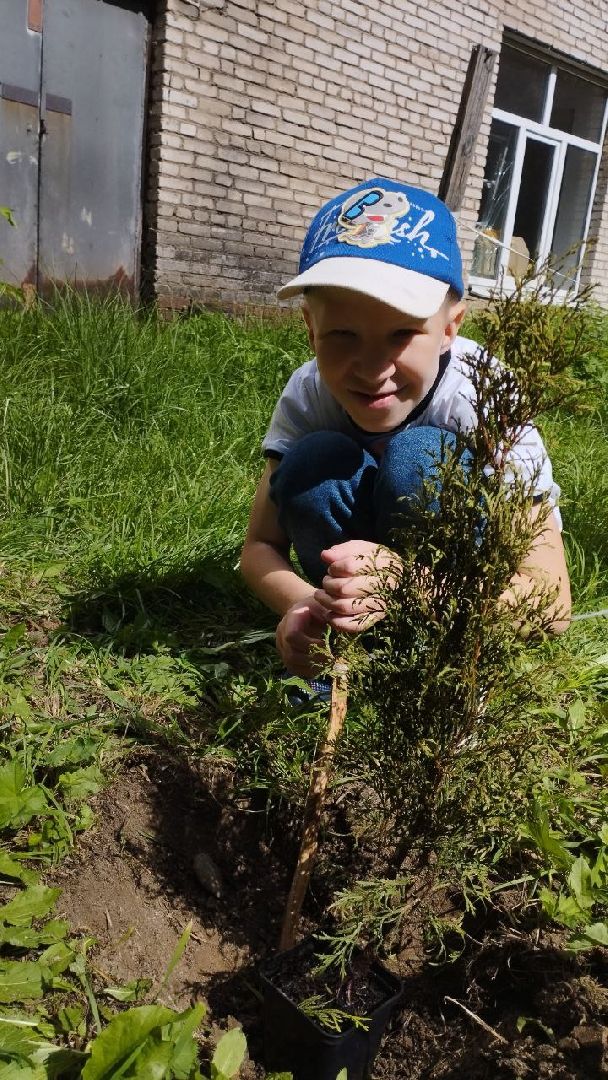 ивантеевка, высадка деревьев, дети с овз, дети с особенностями развития, акция, благотворительая акция,центр социального обслуживания,