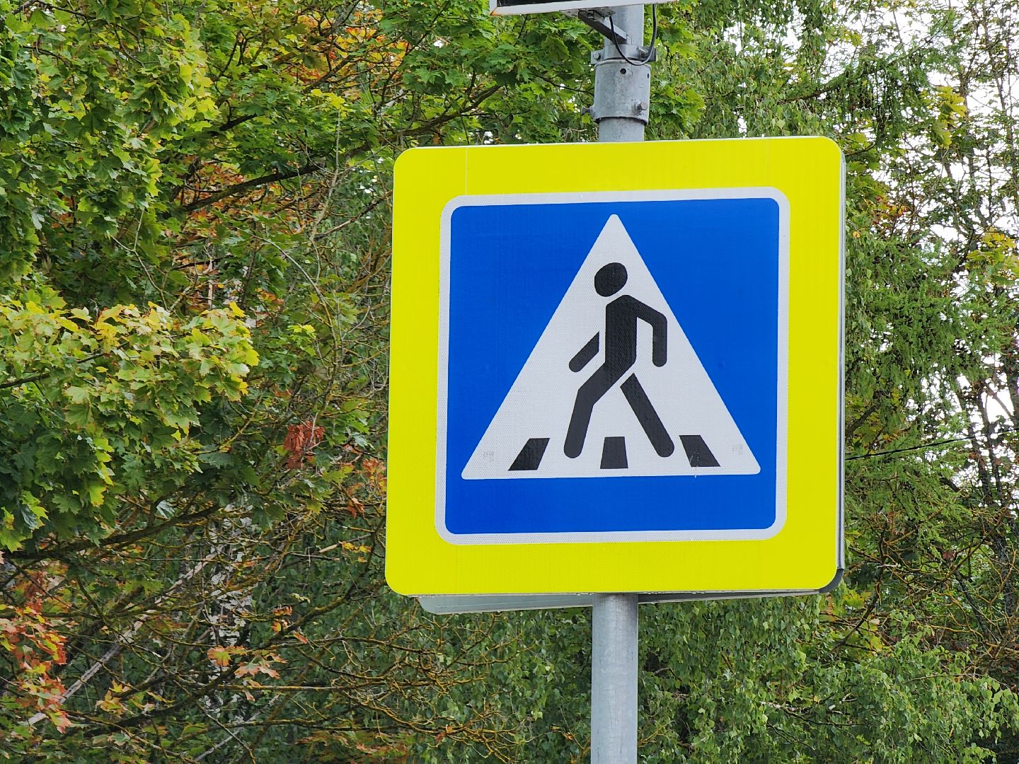 безопасное движение, безопасное детство, школа, можайск, безопасность, можайский городской округ, гибдд,