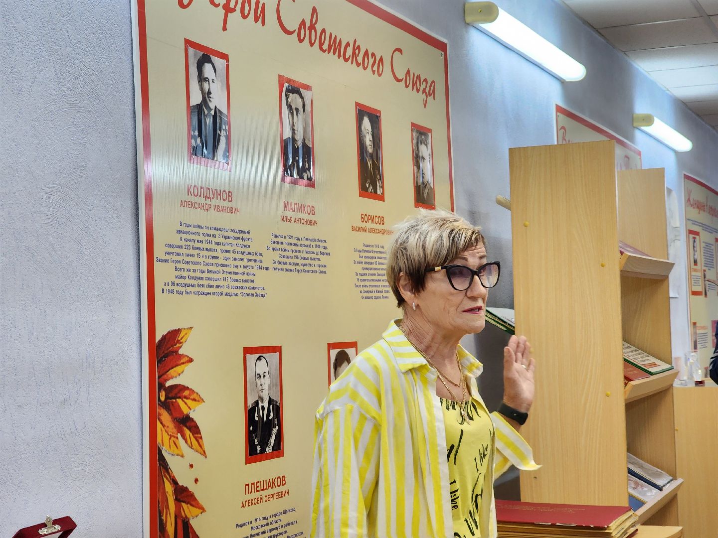 ногинск, митинг, день военно-воздушных сил, общество, жители, ветераны, летчики, школа,