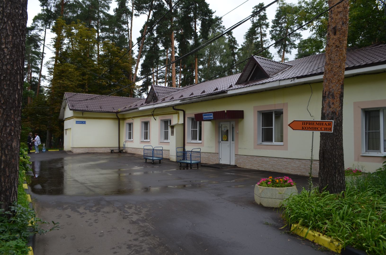 люберцы, эвакуация, дети, курская область,