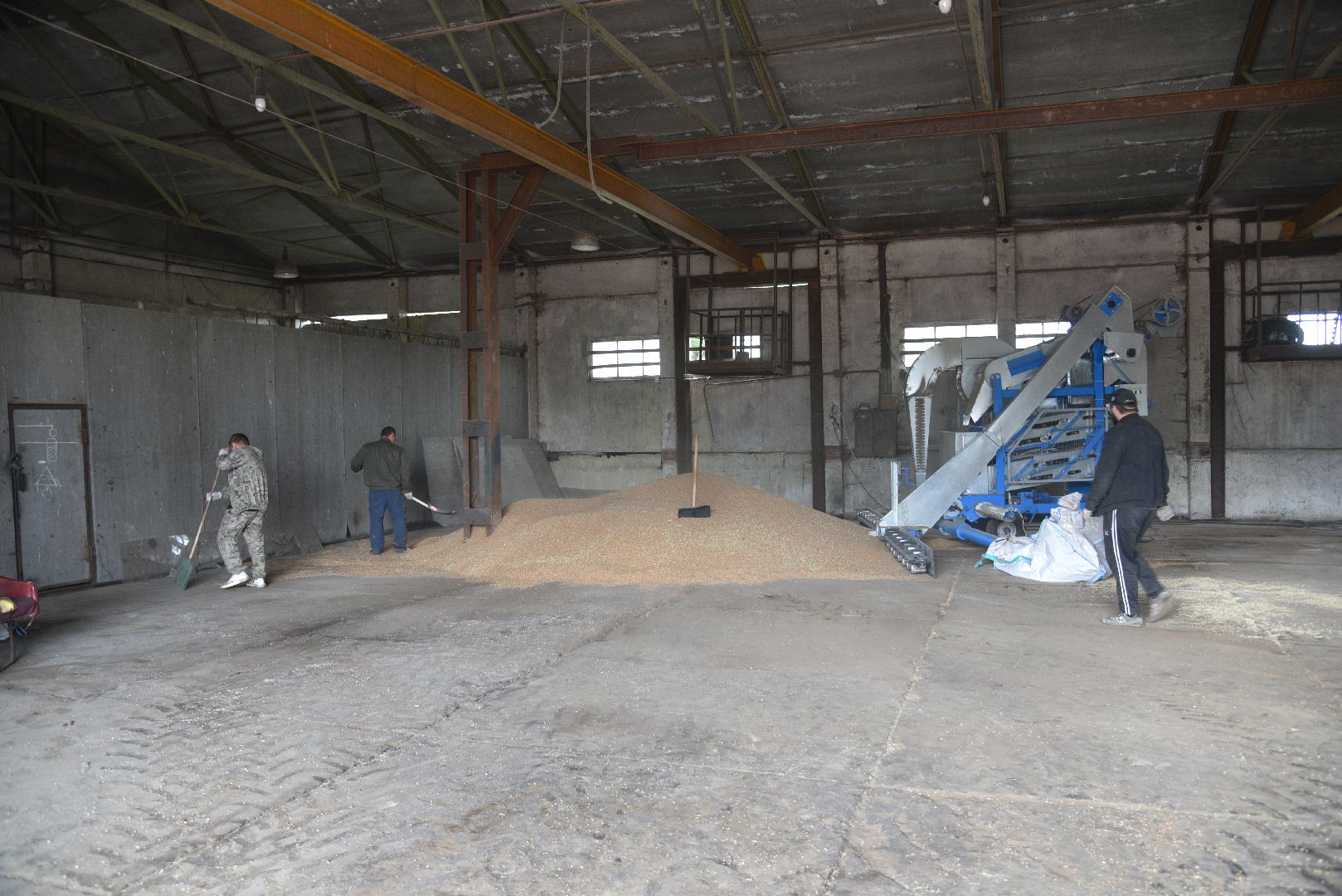 лотошино, ушаково, сельское хозяйство, агрокомплекс, зерно,