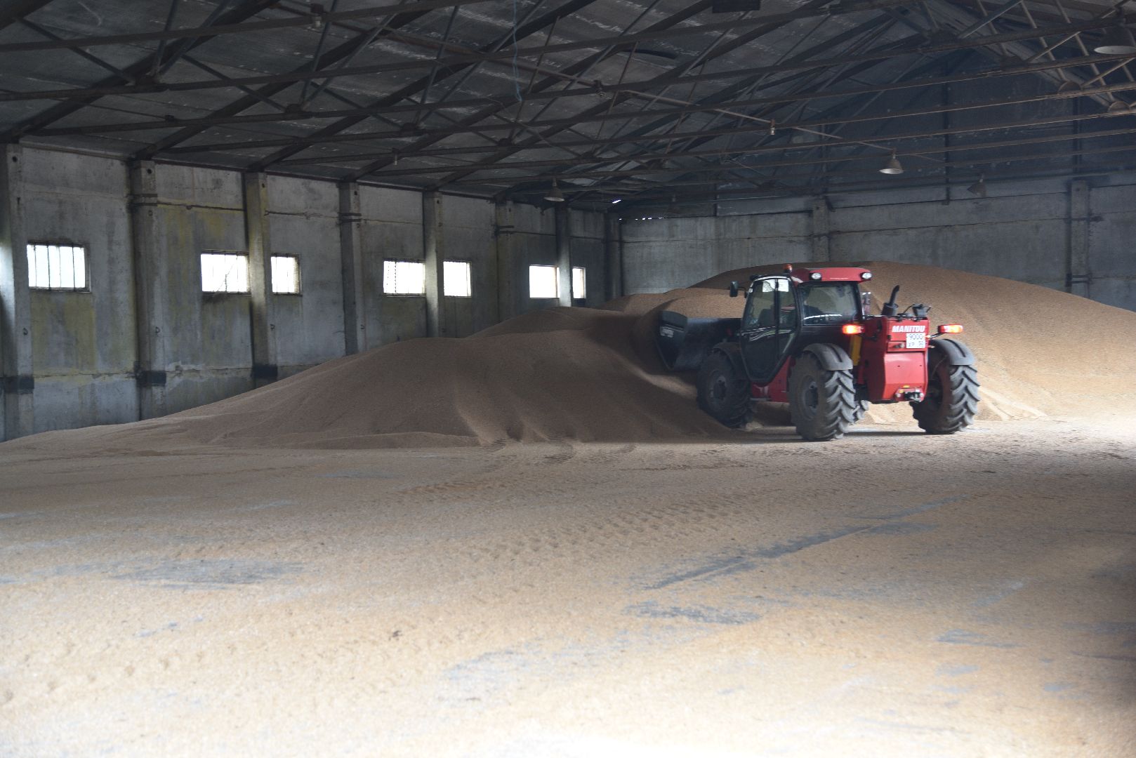 лотошино, ушаково, сельское хозяйство, агрокомплекс, зерно,