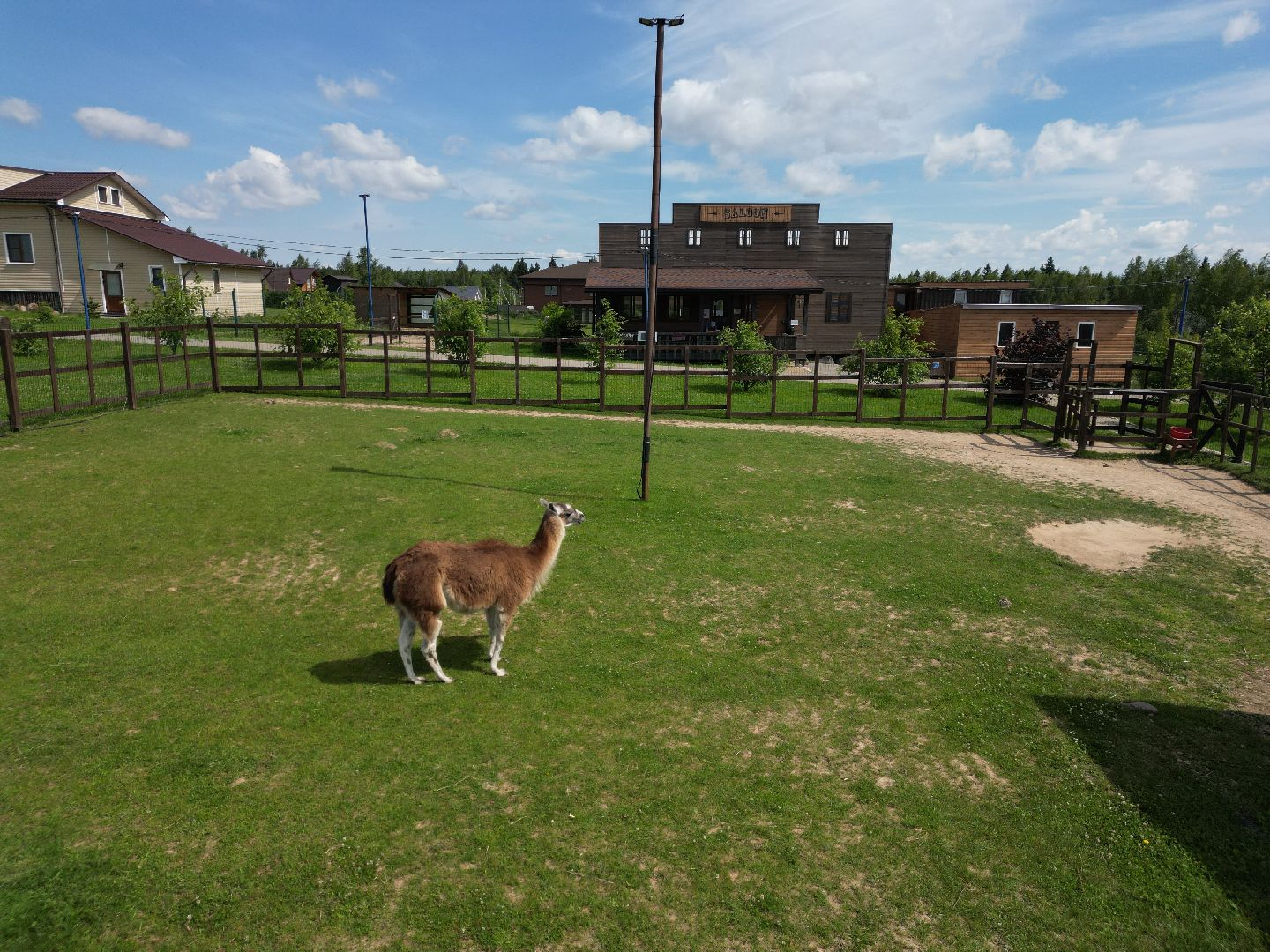 видео с коптера, ферма, дмитров,