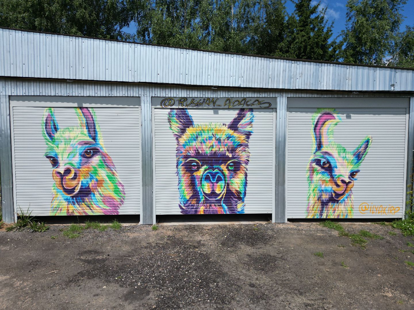 видео с коптера, ферма, дмитров,