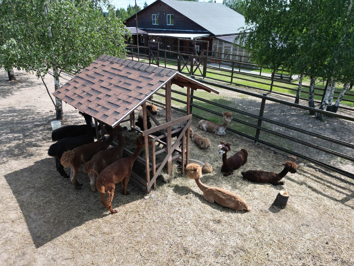 видео с коптера, ферма, дмитров,