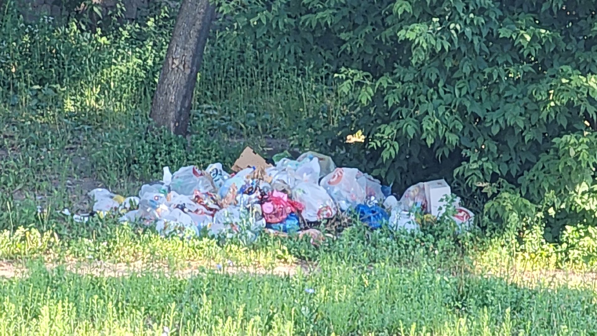 выездная администрация, благоустройство, обращения жителей, Старая Купавна, Богородский городской округ,