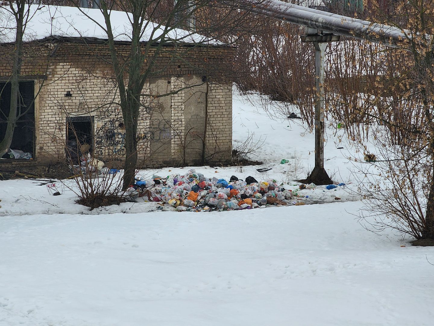 выездная администрация, благоустройство, обращения жителей, Старая Купавна, Богородский городской округ,