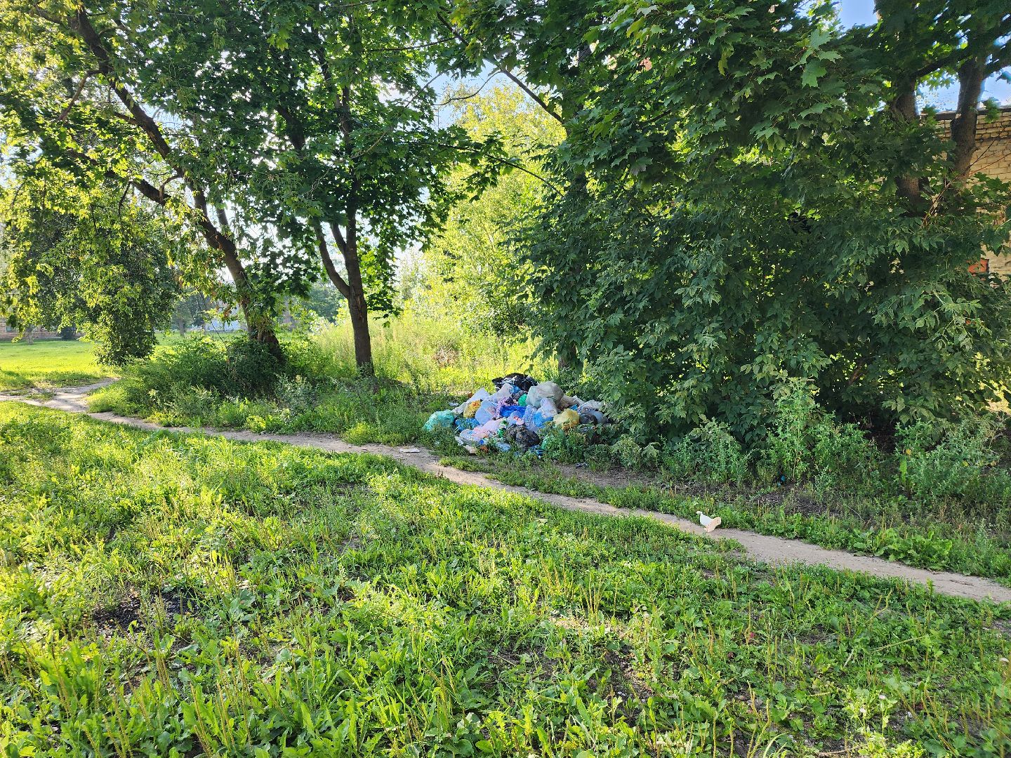 выездная администрация, благоустройство, обращения жителей, Старая Купавна, Богородский городской округ,
