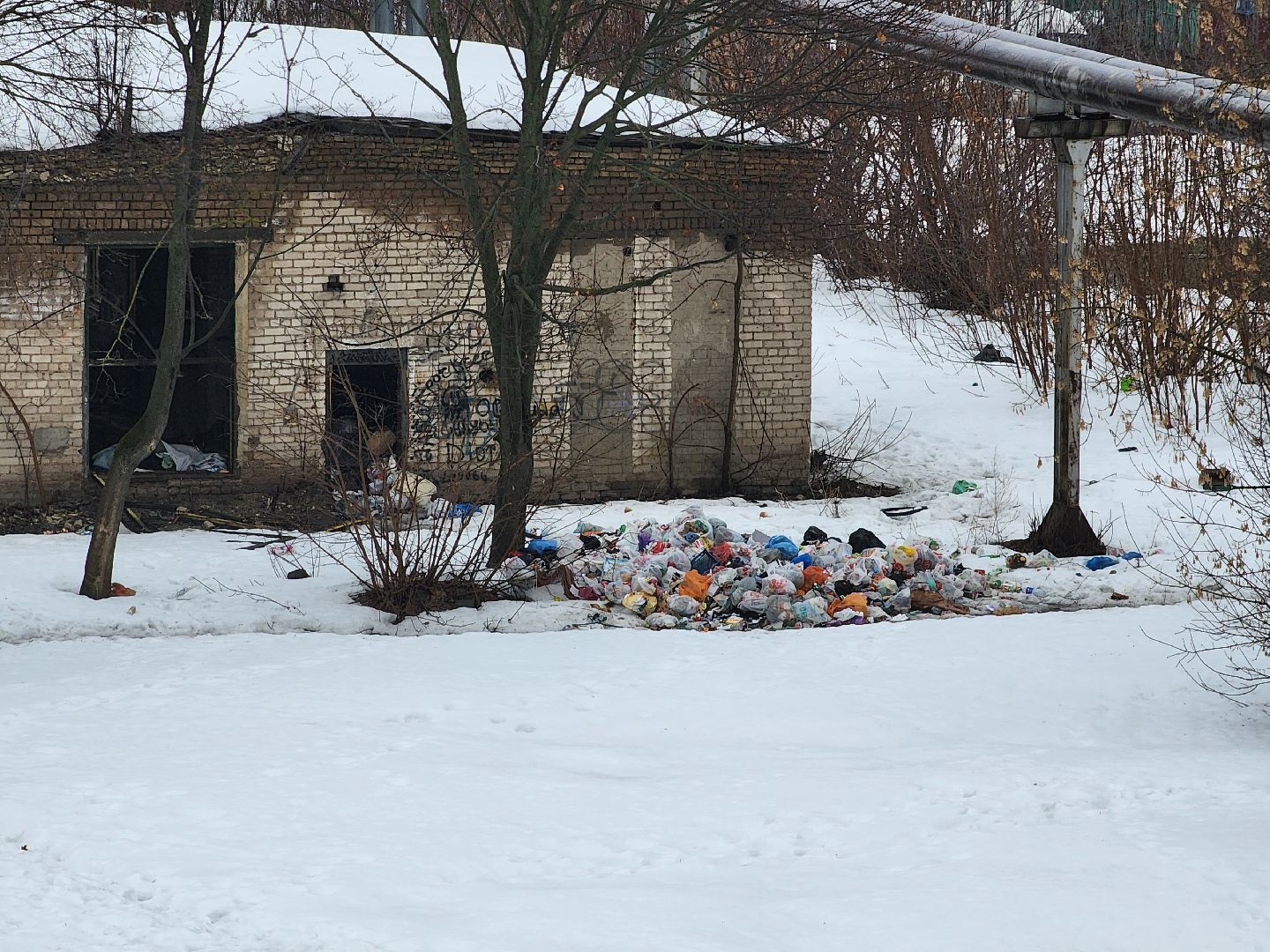 выездная администрация, благоустройство, обращения жителей, Старая Купавна, Богородский городской округ,